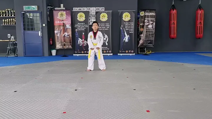 CHARLES LOH YAO RUI- YELLOW 1-9 YEARS OLD- M