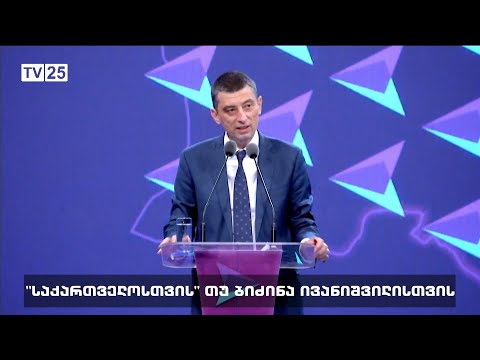 „საქართველოსთვის“ თუ ბიძინა ივანიშვილისთვის