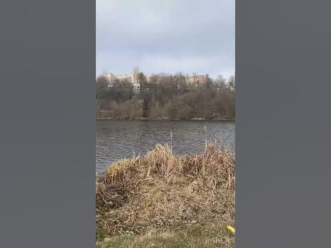 Буг - YouTube