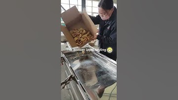 Linear vibrating sieve machine for food granule grading #vibratingsieve