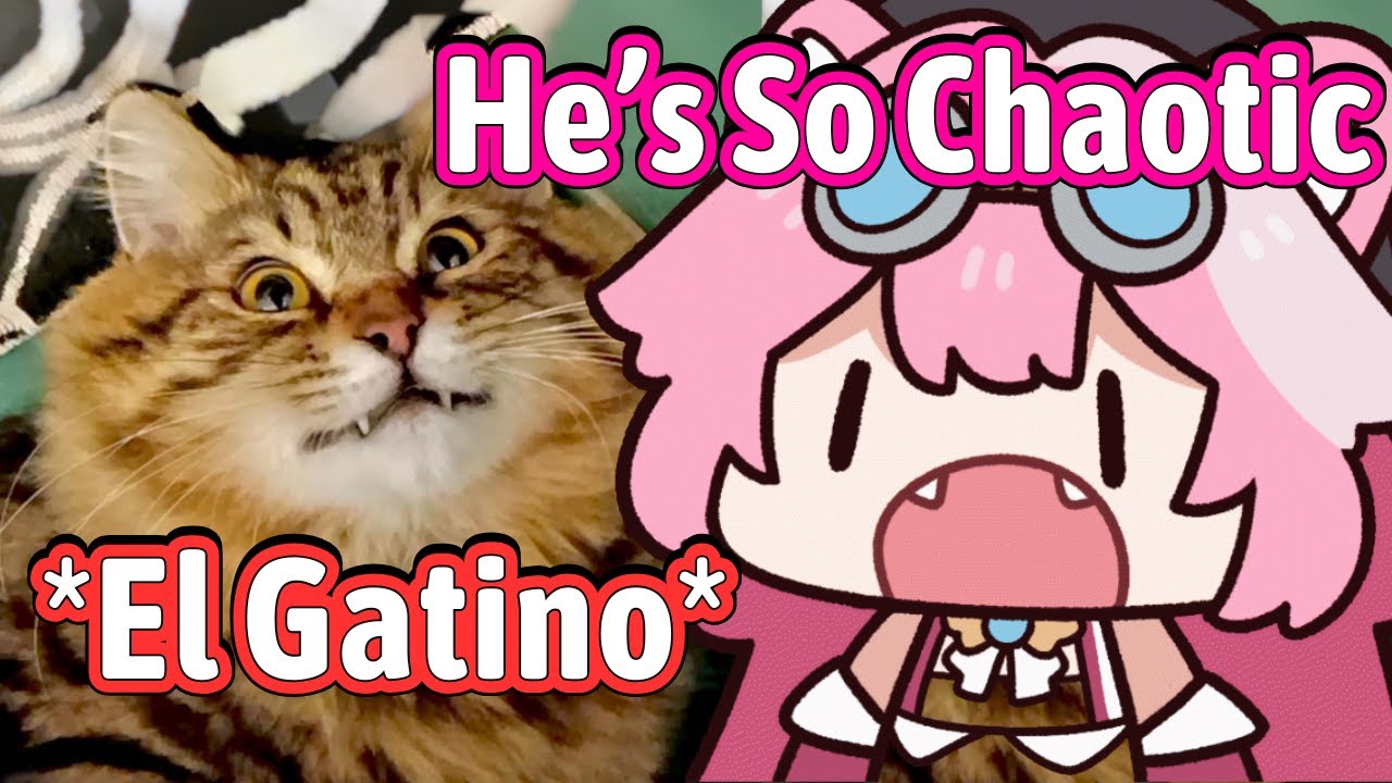 Raora Mamma Keeping Her Friend Cat But The Cat Is Too Chaotic【Hololive EN】