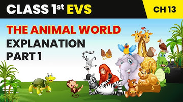 The Animal World - Explanation (Part 1) | Class 1 Environmental Studies Chapter 13 | CBSE 2025-26