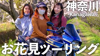 Моторный тур в Хаконэ в поисках весны в Японии