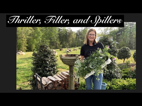 Thriller, Filler, Spiller! - O'Toole's Garden Centers