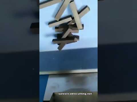 Automatic Slab Rubber Cutting Machine | Solid Shape Rubber Cutter