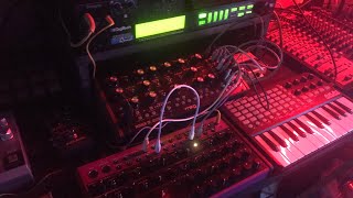Behringer EDGE Moog MOTHER 32 Roland TR8 | No talking | #techno Jam