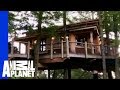 Goat Leap Treehouse | Ultimate Treehouses