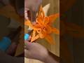 Vegetable flower carving artist, 
