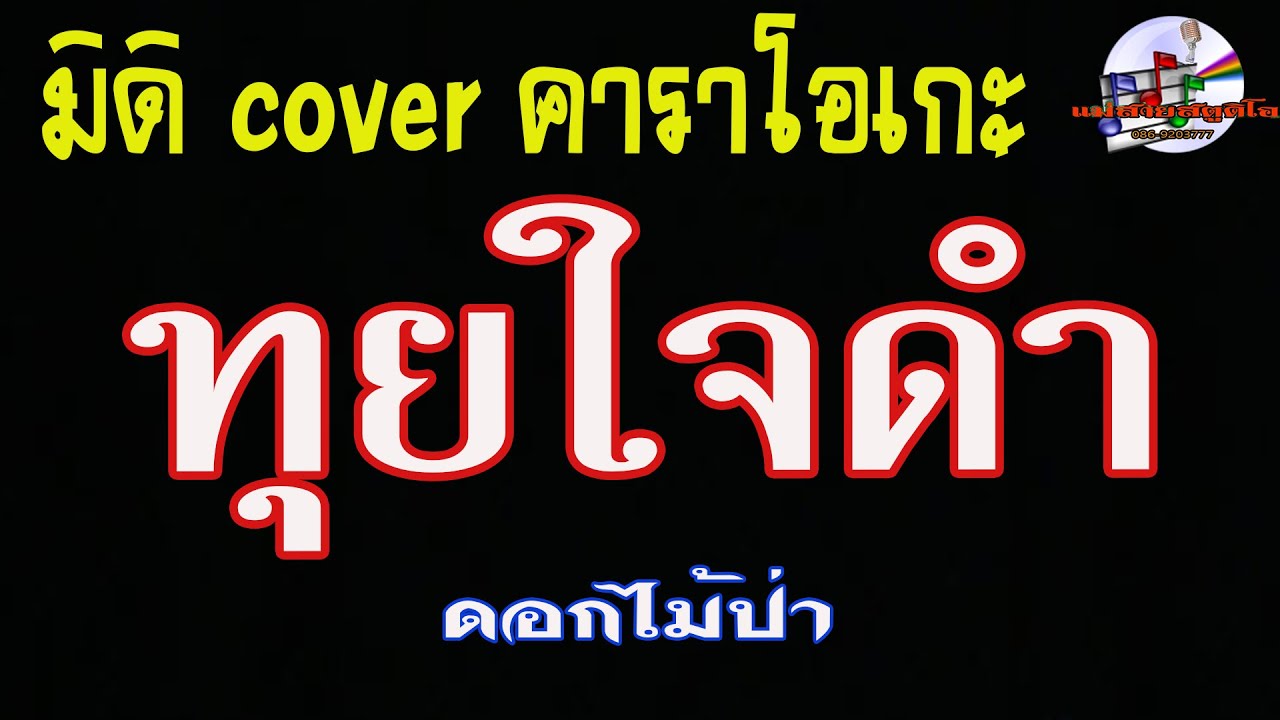 ทุยใจดำ (มิดิ Cover คาราโอเกะ) ดอกไม้ป่า