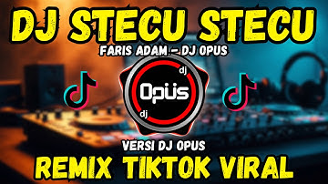 DJ STECU STECU FARIS ADAM REMIX TIKTOK VIRAL 2025