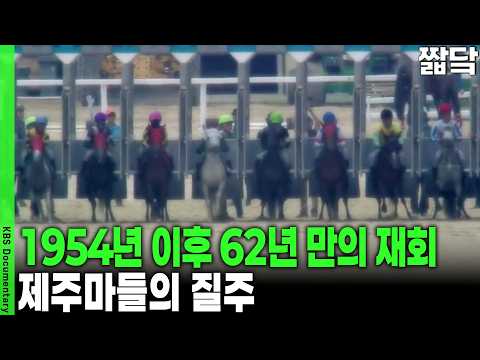 3-2 VJ Jeju Racehorses