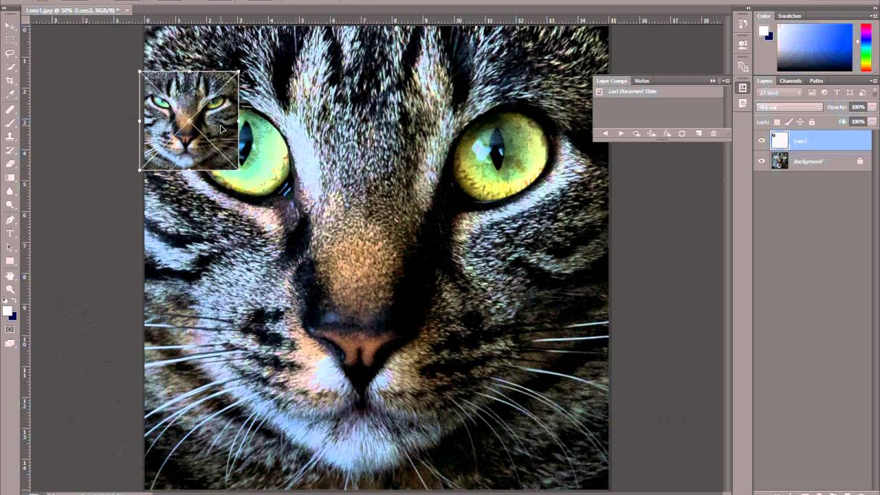 Layer comps gebruiken om PDF te maken met Photoshop - YouTube
