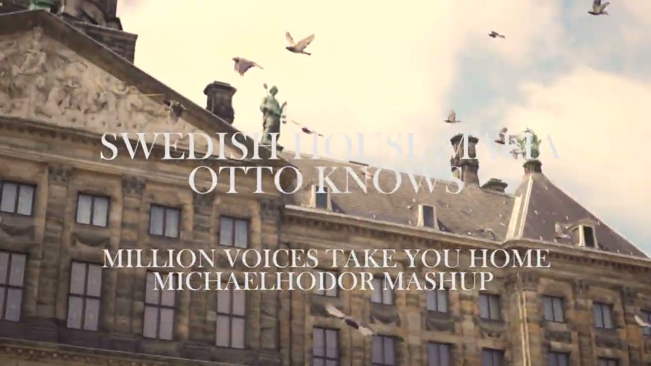 Million Voices Take You Home - Otto Knows VS Swedish House Mafia (MichaelHodor Mashup)