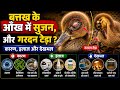 बत्तख के बच्चे की आँख में सूजन और गर्दन टेढ़ा? | कारण, इलाज और बचाव