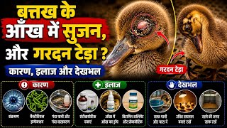 बत्तख के बच्चे की आँख में सूजन और गर्दन टेढ़ा? | कारण, इलाज और बचाव
