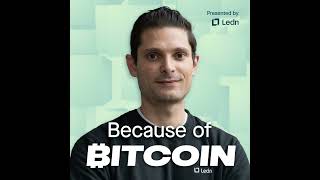 War, AI, Midterms & Bitcoin with Andreas Steno Larsen News