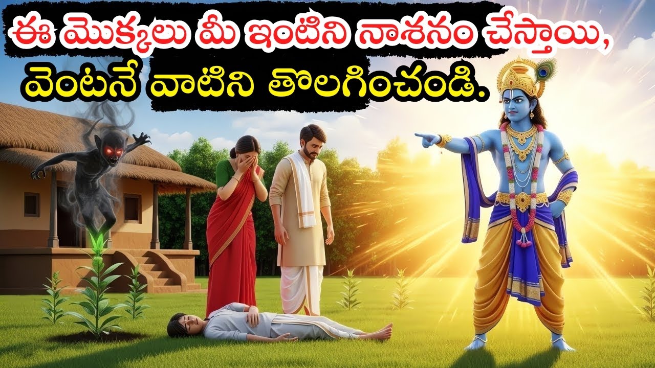 ఈ 5 చెట్లు పేదరికం తెస్తాయని శ్రీకృష్ణుడు చెప్పాడు | ఇంట్లో ఉంటే వెంటనే తొలగించండి