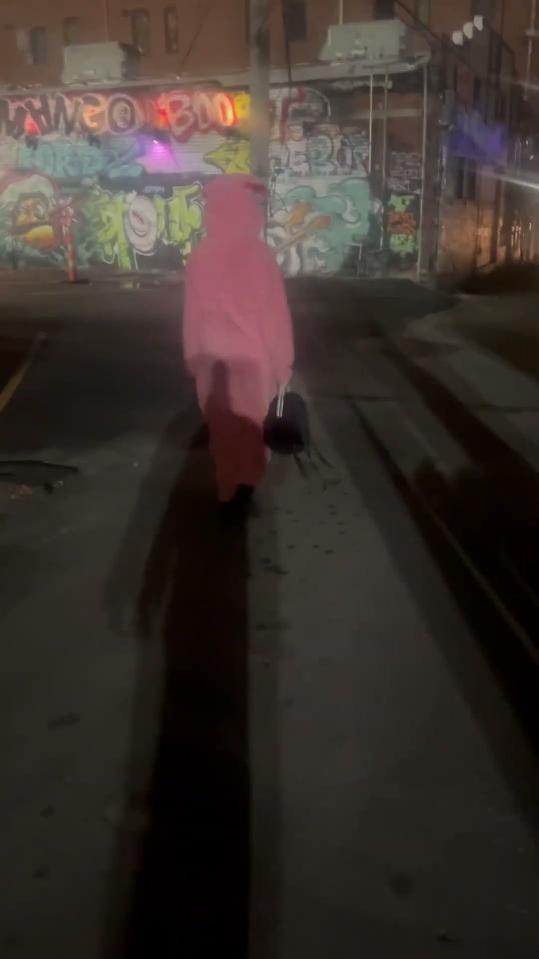 She’s a bunny #hoodnews #fashion #costume #lol #bunny #aussi #loveyourself
