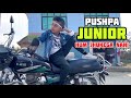 Pushpa junior hum jhukega nahi