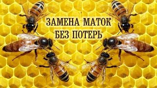 Çàìåíà Ìàòîê Áåç Ïîòåðü. видео: Çàìåíà Ìàòîê Áåç Ïîòåðü.