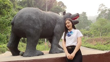 Bear House Cafe