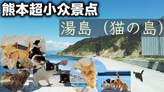 探秘熊本縣超小眾離島湯島.因島上貓比人多所以又被稱為“貓島”!