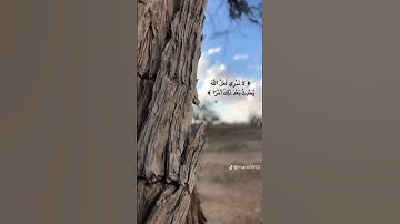 قرآن كريم بصوت جميل سورة الطلاق #اكسبلور #المصحف #quran #الرحمن