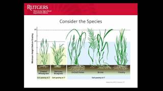 Rotational Grazing: Why and How It Works