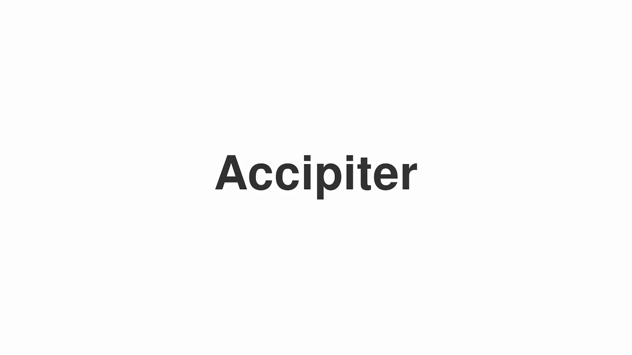 How to Pronounce "Accipiter"