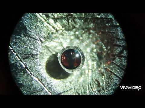 Reaction between Mercury and Aluminium metal