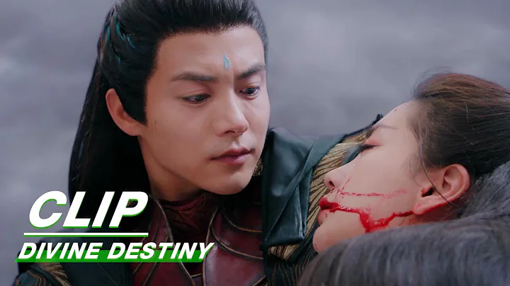 Zhang Yinyin is Seriously Injured  | Divine Destiny EP36 | 尘缘 | iQIYI - DayDayNews