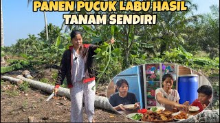 Download Lagu AKHIRNYA PUCUK LABU KITA SUDAH BISA DI PANEN DAN LANGSUNG DI MASAK MP3 Download Lagu AKHIRNYA PUCUK LABU KITA SUDAH BISA DI PANEN DAN LANGSUNG DI MASAK MP3