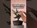 From Raw Tree to Bonsai Art #BonsaiTransformation #BonsaiProcess #TreeToArt #BonsaiInspiration
