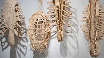 Soft Revolution: Fibre Sculpture with Tina Marais - Showreel