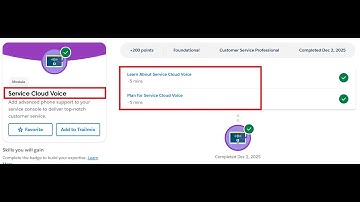 Service Cloud Voice | Salesforce Trailhead