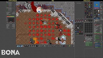 Bobeek / Goraca - Defeated Goshnars Cruelty + 4 TAINTS - Tibia Test Server