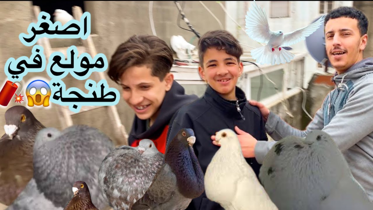 ماشيت عند اصغر🐣 مولعة 😱فا طنجة في رمضان 🤔صدمني بالحمام اللي عنده😱🥵😱