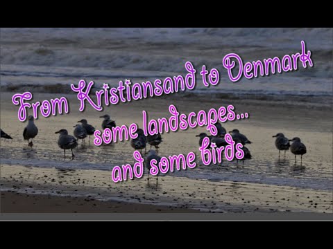 #Denmark,# landscapes and# birds