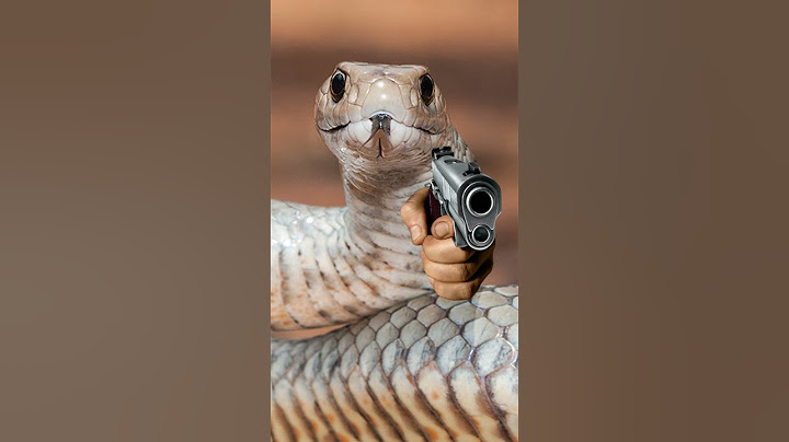 This snake is a PROBLEM