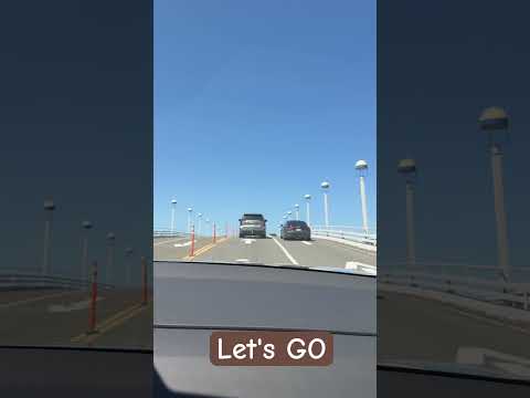 Enjoy Life Viralvideo Enjoylife Thankfulgratefulblessed