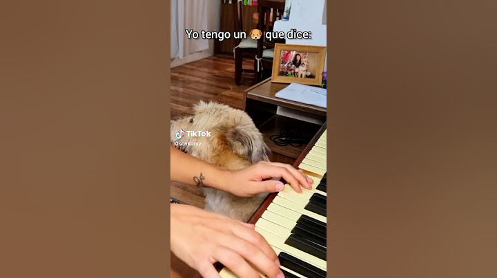 yo tengo un perrito que dice:
