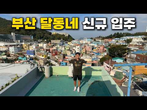 G7 46층에서 감천문화마을로 이사합니다ㅡㅡㅡ   북항부산상어부캉이