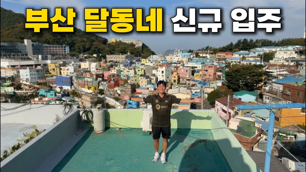 부산 순두부 맛집 돌고래ㅡㅡㅡㅡㅡG7 46층에서 감천문화마을로 이사합니다ㅡㅡㅡ 북항부산상어부캉이