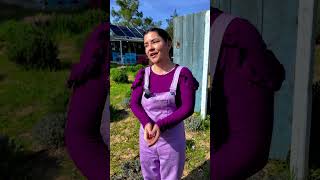 Karpaz Lavender Gardens İşletmecisi Ayşegül Bolat