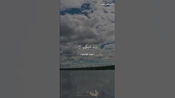 تلاوة خاشعة من سورة الواقعة للقارىء مصطفى جيد