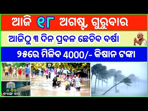 Today's breaking news odisha || Odia News || 18 August 2022 || kalia yojana || heavy rain in odisha thumbnail
