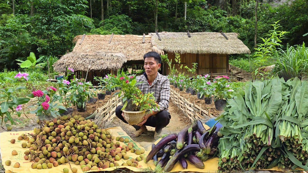 Full Video: Building a Farm life Alone - Harvesting Clean Agricultural ...