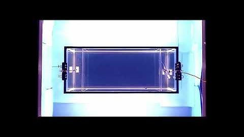 Zebrafish response to closed-loop robot