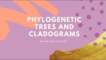 Constructing a Cladogram