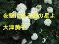夜空に光るあの星よ/大津美子Cover♪あいさい・・♪